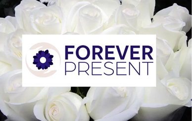 Forever Present | Our Partners | National Pancreatic Cancer Foundation
