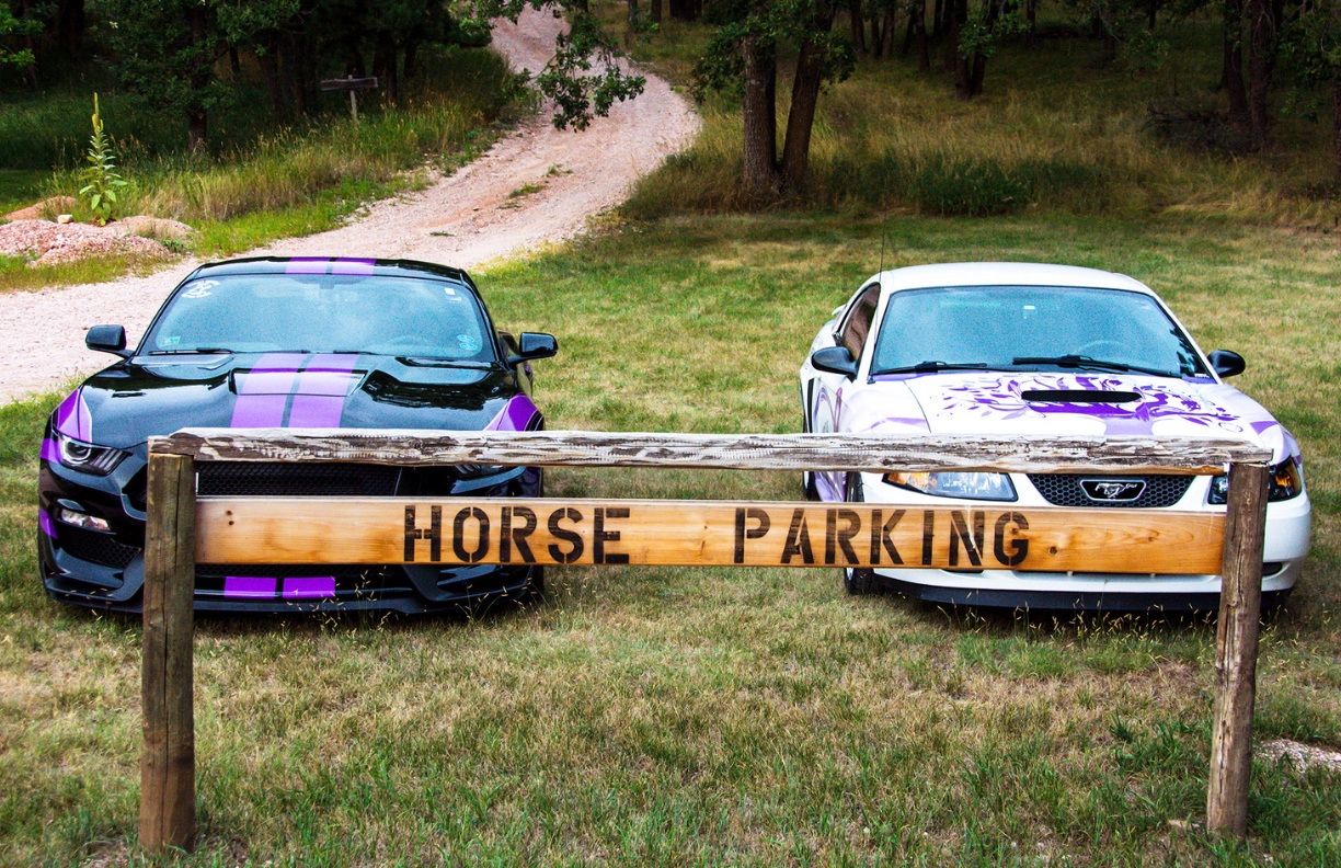 Drive with a Purpose 8