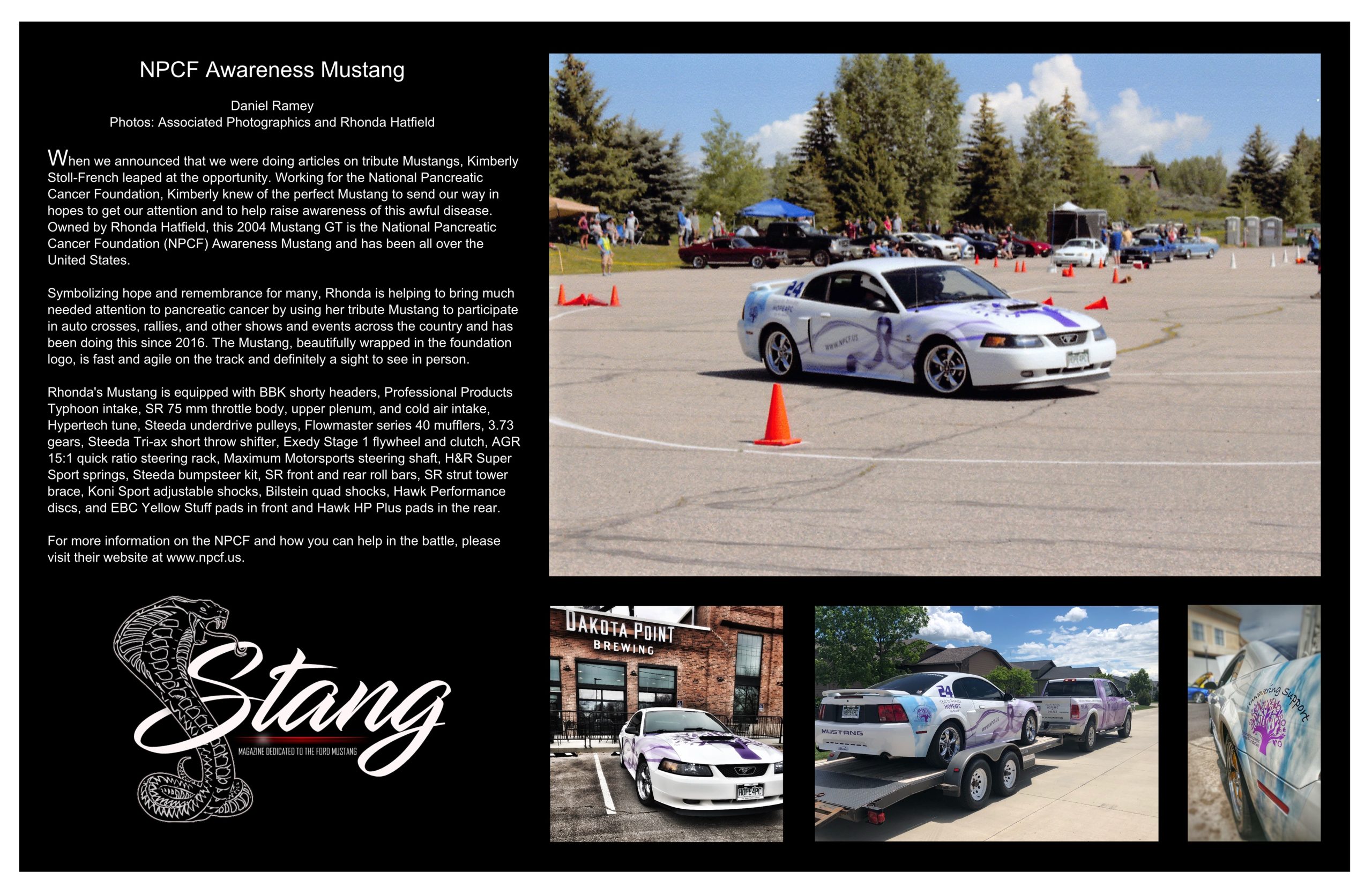 Stang MagazineWP1110 scaled